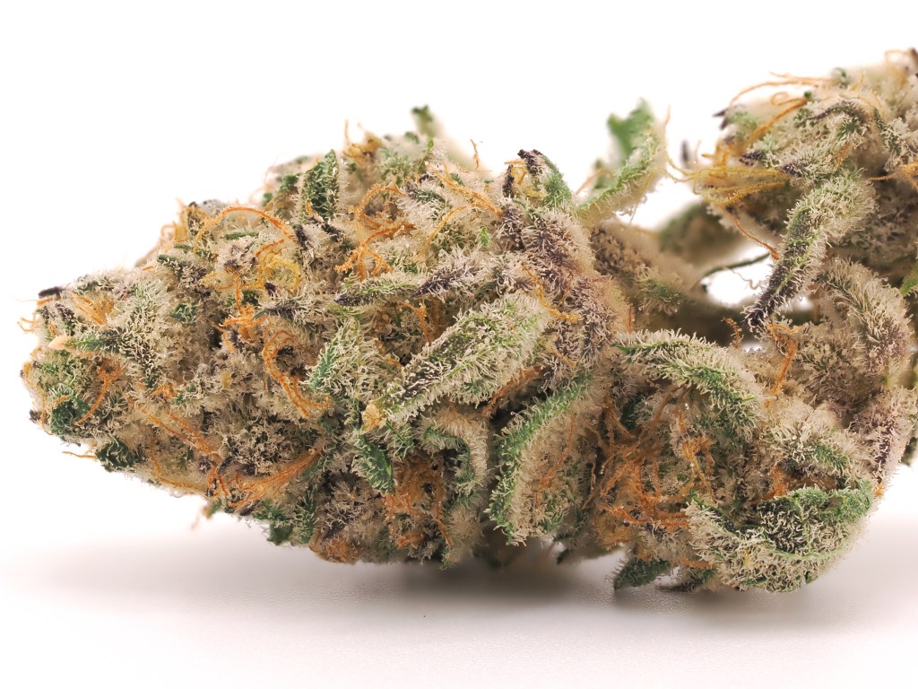 THCA Flower Review | Lemon Cherry Gelato by Flow&nbsp;Gardens