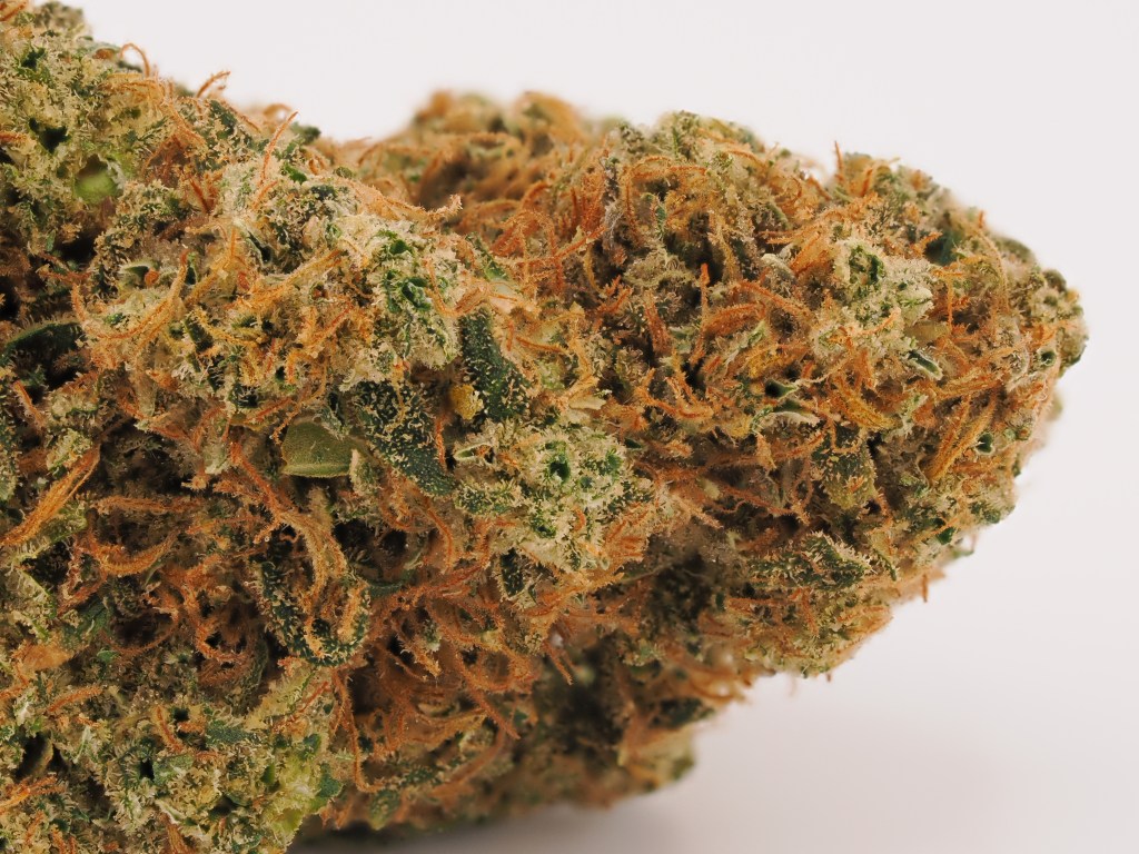 Hemp Flower Review | Sumo Citrus by Clutch City&nbsp;Farms